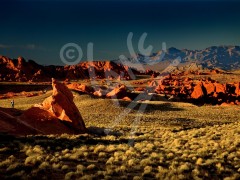 NEVADA Valley of Fire